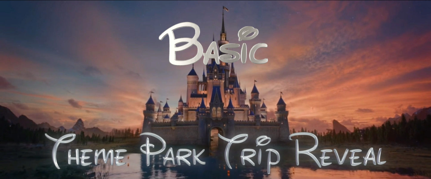(Basic Package) Theme Park Trip Reveal - Orlando, FL