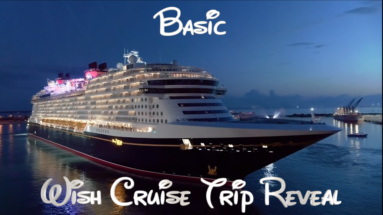 (Basic Package) Wish Cruise Ship Trip Reveal