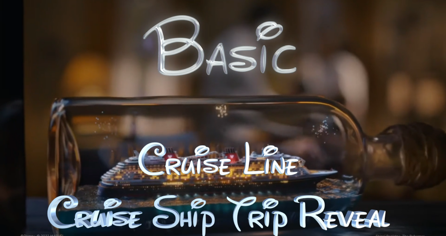 (Basic Package) Dream Cruise Ship Trip Reveal
