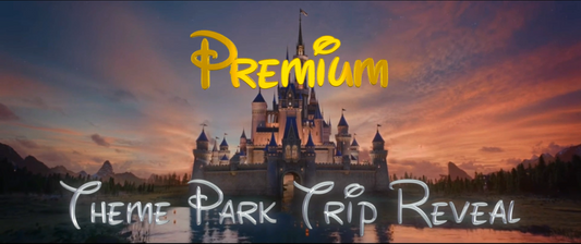 (Premium) Theme Park Paris Trip Reveal (Paris, France)