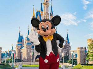 The Mouse