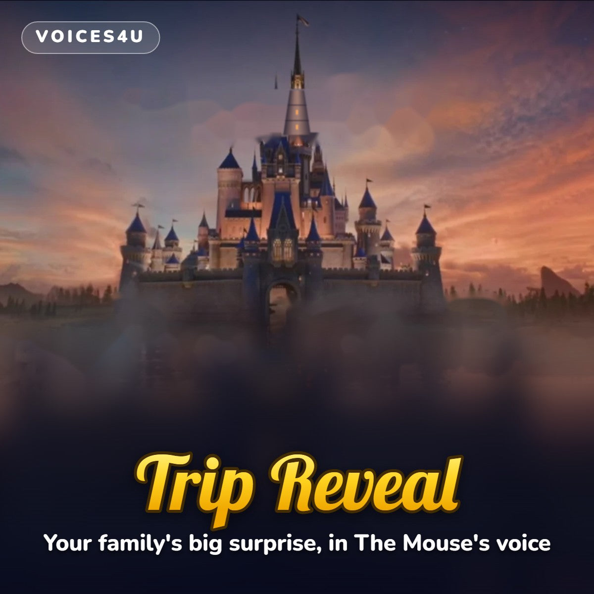 Custom Trip Reveal Video